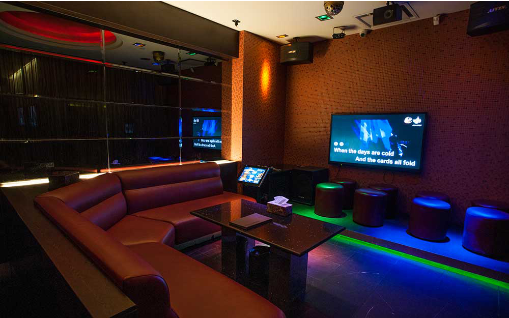 Sound System Karaoke Audio Pro