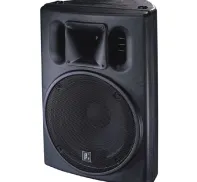 Speaker Aktive U12A BETA3